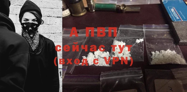 ПСИЛОЦИБИНОВЫЕ ГРИБЫ Сосновый Бор