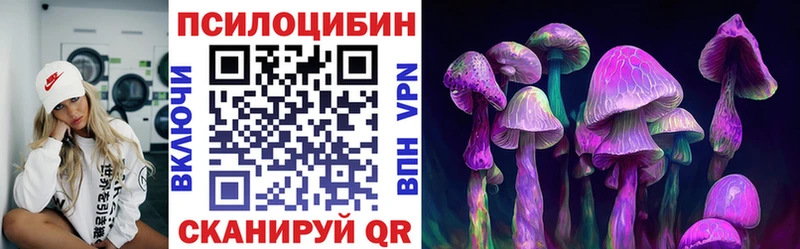 Галлюциногенные грибы Psilocybine cubensis  Великие Луки 