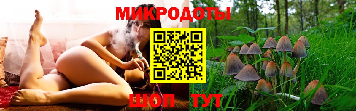 Галлюциногенные грибы прущие грибы  Вход с VPN  Великие Луки 