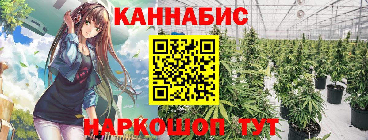 Бошки Шишки LSD WEED Великие Луки